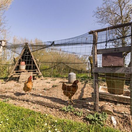 Gite Champetre Renove Avec Terrasse & Equipements, Proche Pornic - Animaux Acceptes - Fr-1-306-1027 Villa Frossay Eksteriør billede