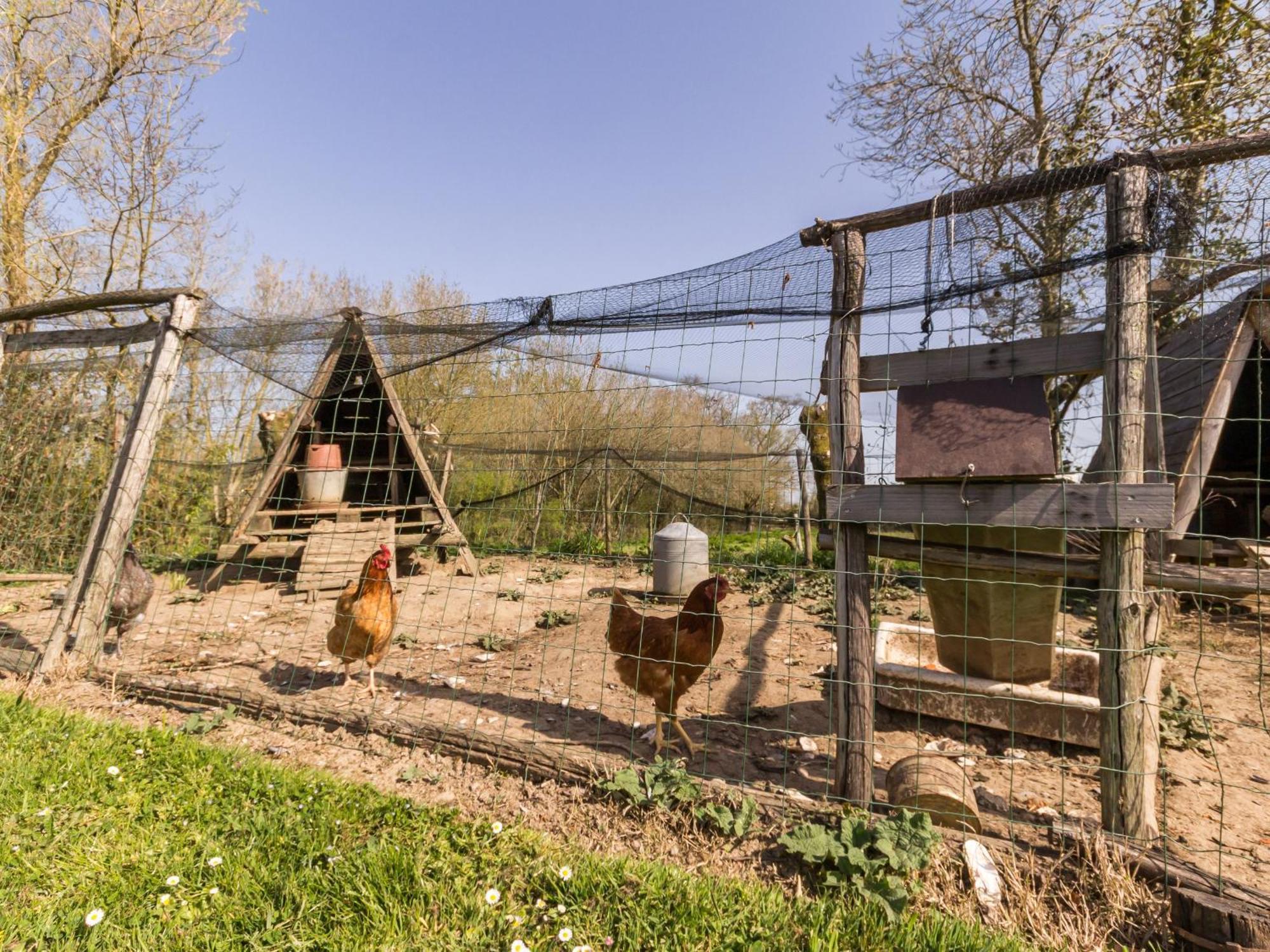 Gite Champetre Renove Avec Terrasse & Equipements, Proche Pornic - Animaux Acceptes - Fr-1-306-1027 Villa Frossay Eksteriør billede